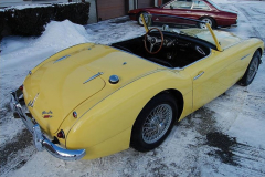 Austin-Healey-6