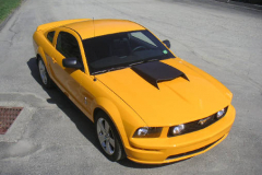 Ford Shelby GT500 Yellow 2008